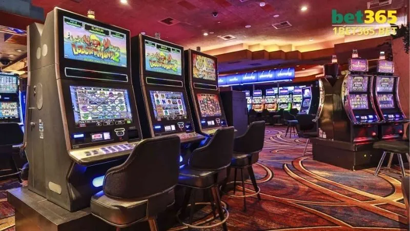 Giới thiệu tổng quan về Bet365, nền tảng cá cược trực tuyến